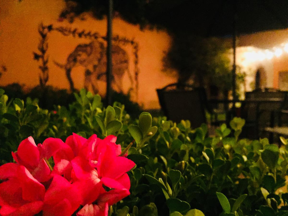 Casa Los Naranjos Σαν Μιγκέλ ντε Αγιέντε Εξωτερικό φωτογραφία
