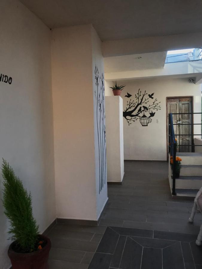 Casa Los Naranjos Σαν Μιγκέλ ντε Αγιέντε Εξωτερικό φωτογραφία